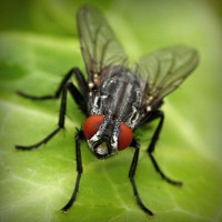 /album/cahustoha/photolia-a01-jpg/