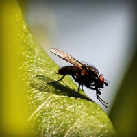 /album/cahustoha/photolia-a04-jpg/