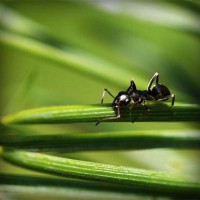 /album/cahustoha/photolia-a05-jpg/
