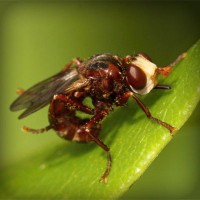 /album/cahustoha/photolia-a06-jpg/