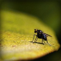 /album/cahustoha/photolia-a07-jpg/